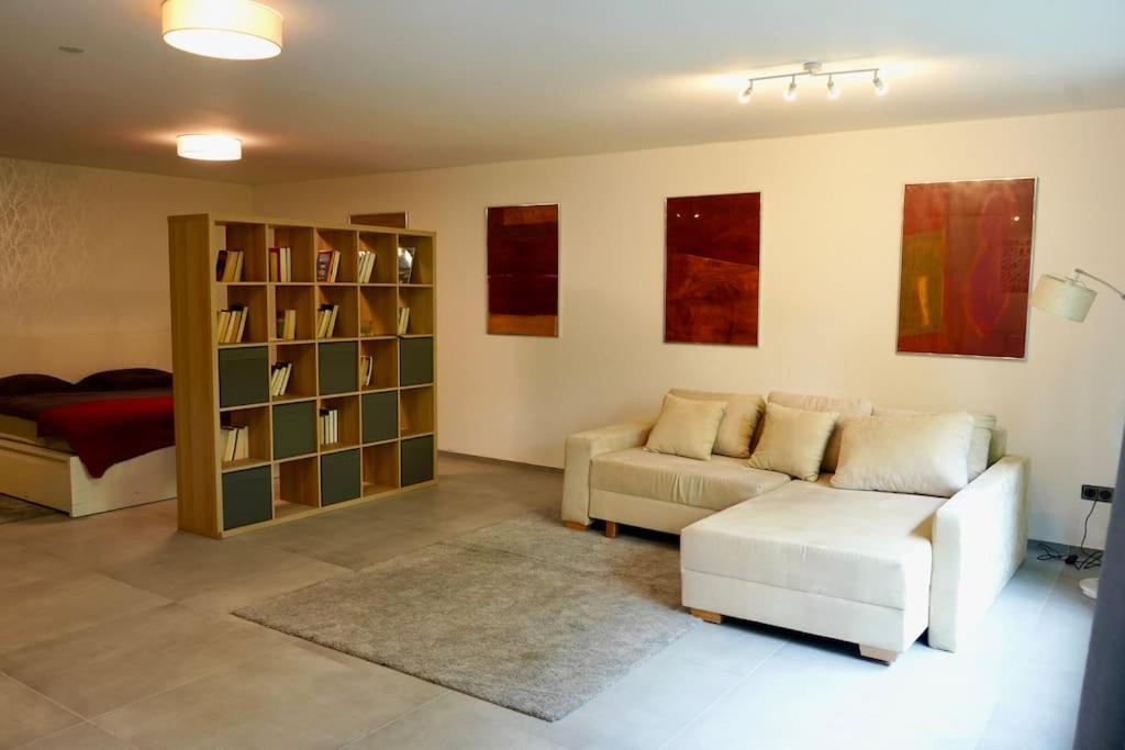 Helle Kellerwohnung Im Gruenen Mit Sauna Kolín nad Rýnem Exteriér fotografie