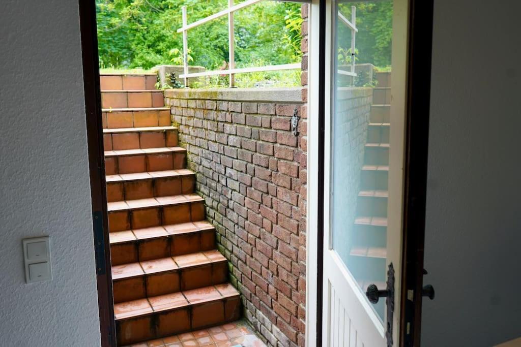 Helle Kellerwohnung Im Gruenen Mit Sauna Kolín nad Rýnem Exteriér fotografie