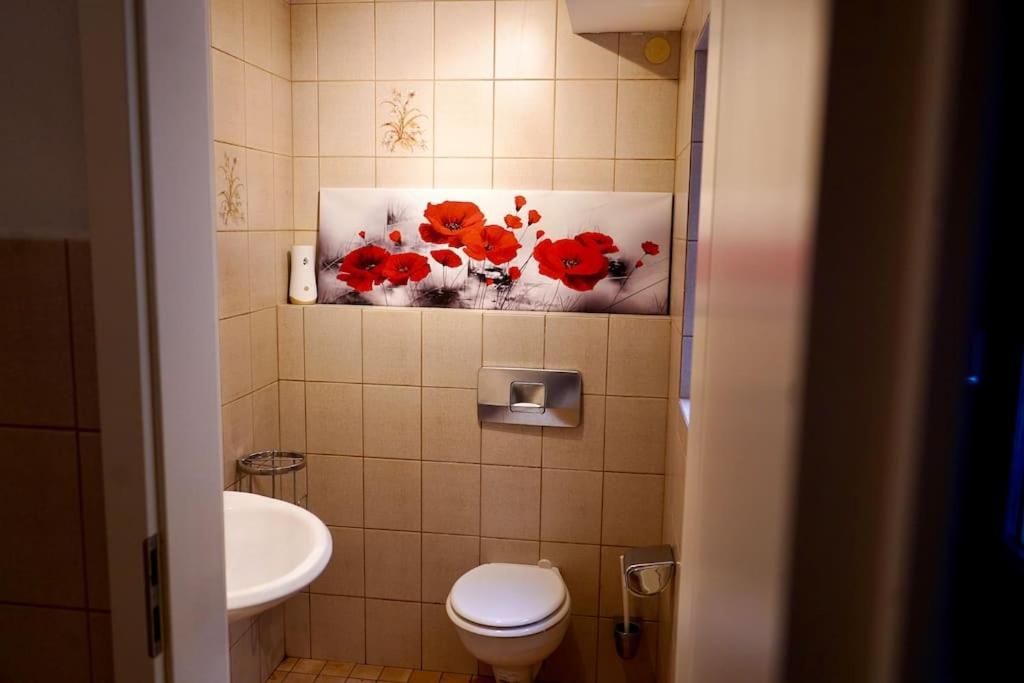 Helle Kellerwohnung Im Gruenen Mit Sauna Kolín nad Rýnem Exteriér fotografie